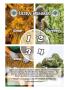 Page: - 83 | High Times