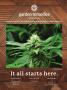 Page: - 91 | High Times
