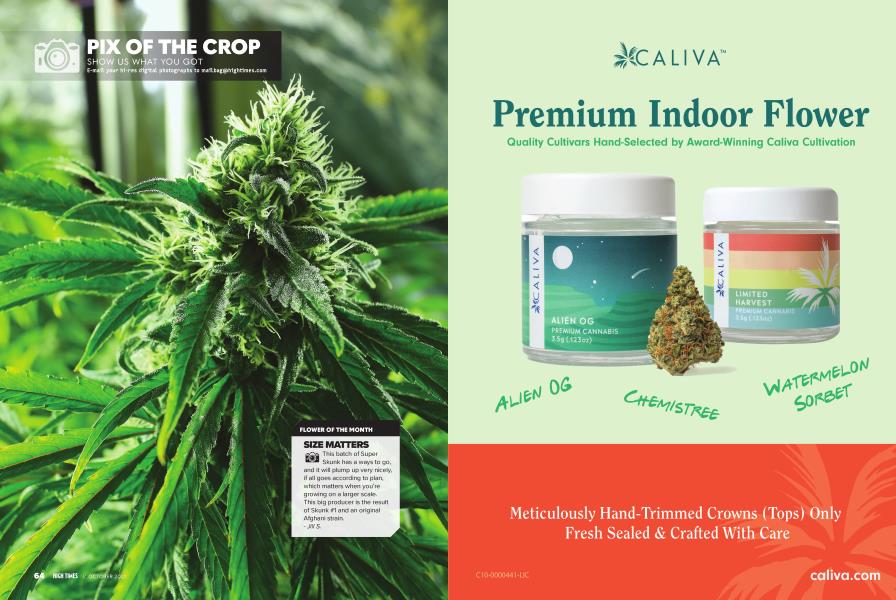 PIX OF THE CROP