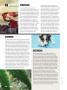 Page: - 122 | High Times
