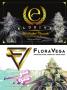 Page: - 125 | High Times