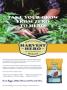 Page: - 4 | High Times