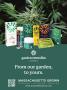 Page: - 83 | High Times