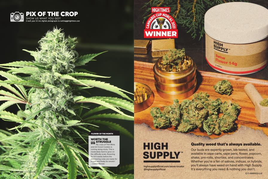 PIX OF THE CROP