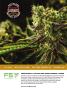 Page: - 115 | High Times