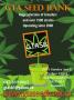 Page: - 19 | High Times