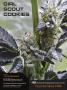 Page: - 3 | High Times