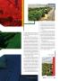 Page: - 31 | High Times