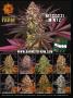 Page: - 63 | High Times