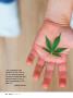 Page: - 94 | High Times