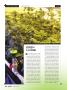 Page: - 38 | High Times