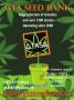 Page: - 47 | High Times
