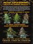 Page: - 6 | High Times