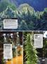 Page: - 66 | High Times