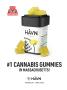 Page: - 97 | High Times