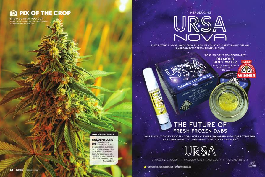 PIX OF THE CROP