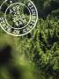 Page: - 34 | High Times