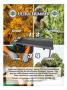 Page: - 41 | High Times