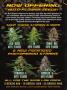Page: - 6 | High Times