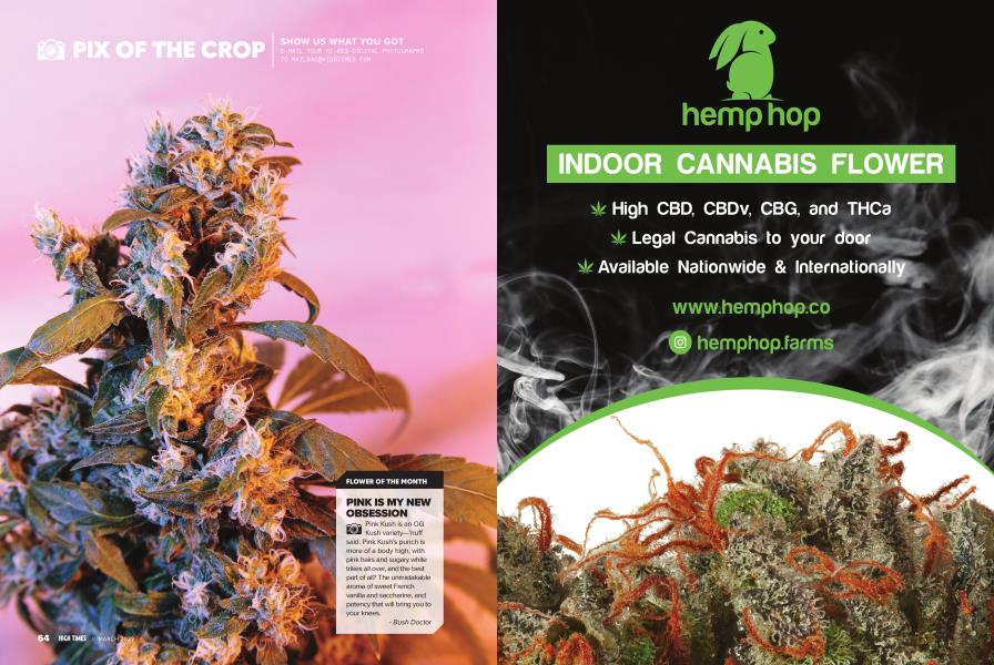 PIX OF THE CROP