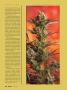 Page: - 48 | High Times