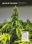 Page: - 64 | High Times