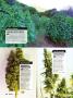 Page: - 66 | High Times
