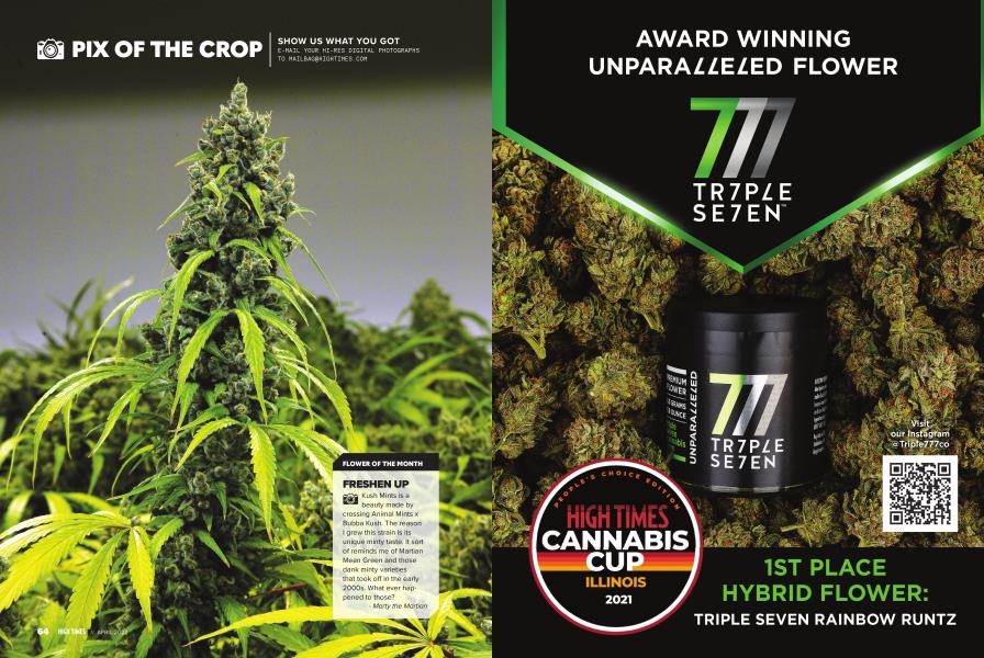 PIX OF THE CROP