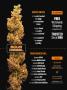Page: - 25 | High Times