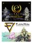 Page: - 57 | High Times