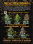 Page: - 6 | High Times
