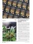 Page: - 86 | High Times