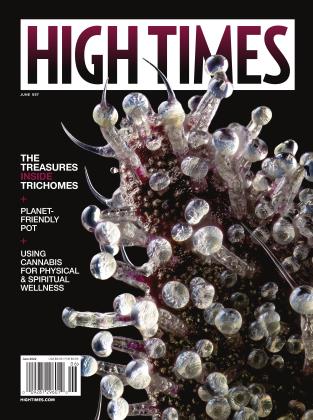 JUNE 2022 | High Times