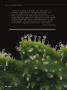 Page: - 40 | High Times