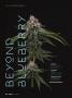 Page: - 44 | High Times