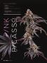 Page: - 50 | High Times