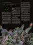 Page: - 56 | High Times