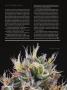Page: - 60 | High Times
