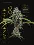 Page: - 62 | High Times