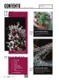 Page: - 8 | High Times