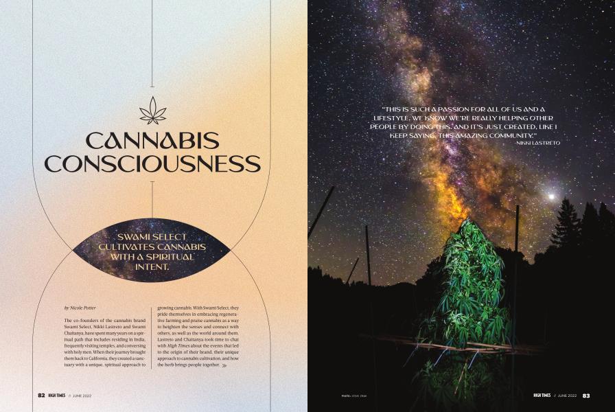 CANNABIS CONSCIOUSNESS