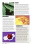 Page: - 122 | High Times