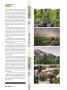 Page: - 38 | High Times