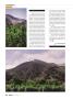 Page: - 46 | High Times