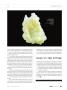 Page: - 55 | High Times