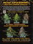 Page: - 6 | High Times