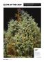 Page: - 64 | High Times