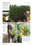 Page: - 66 | High Times