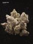 Page: - 70 | High Times