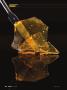 Page: - 82 | High Times